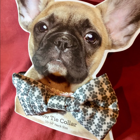 Mud Pie 🎀 BOW TIE 🐶 Dog Collar Size 10-14 Neck - Picture 4 of 8